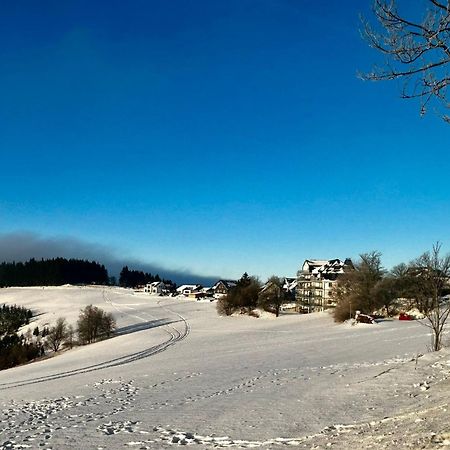 Astenblick Apartments Winterberg With Sauna Exterior photo